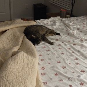 Meet your Posher, Tim